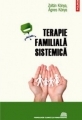 Terapie familiala sistemica
